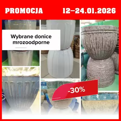 Szarotka gazetka (ważność do 24-01)