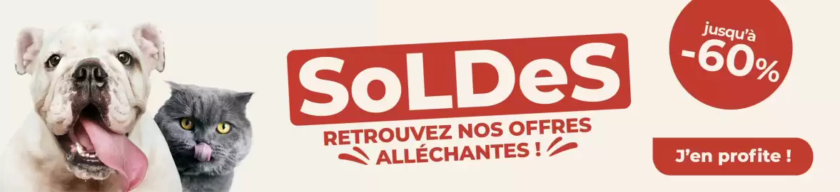 Catalogue Terranimo page 1