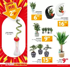 Catalogue Trafic page 6