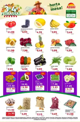 Encarte Assaí Atacadista (válido até 14-01)