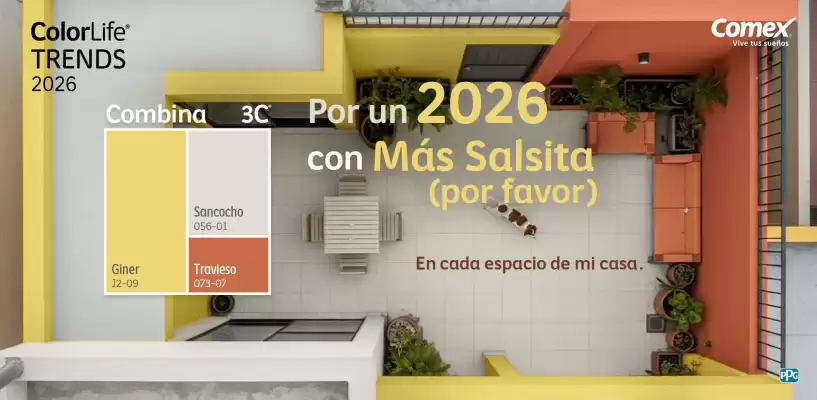 Catálogo Comex (válido hasta 19-01)