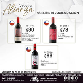 Folleto Bodegas Alianza Página 3