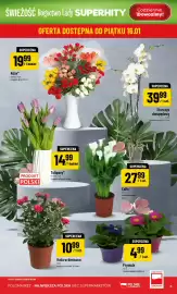 Polomarket gazetka tydzień 3 Strona 5