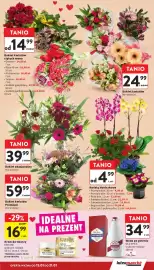 Intermarche gazetka tydzień 3 Strona 13