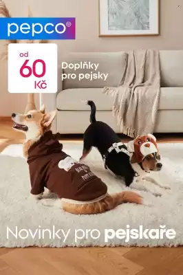 Pepco leták (platné do 20-01)