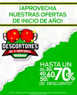 Catálogo Milano (válido hasta 31-01)