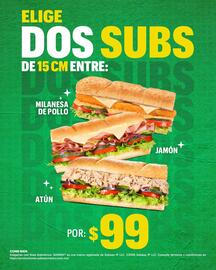 Catálogo Subway Página 2