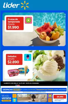 Catálogo Lider (válido hasta 19-01)