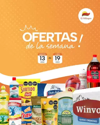 Catálogo El Milagro Mayorista (válido hasta 19-01)