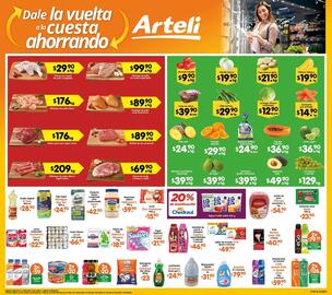 Folleto Arteli Página 4