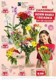 Kaufland gazetka tydzień 3 Strona 7