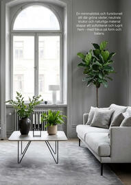 Plantagen annonsblad Sida 11