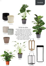 Plantagen annonsblad Sida 13