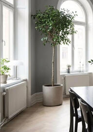 Plantagen annonsblad Sida 14