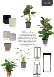 Plantagen annonsblad Sida 13