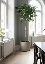 Plantagen annonsblad Sida 14