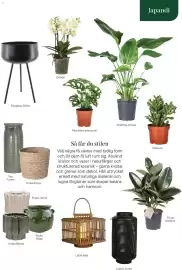 Plantagen annonsblad Sida 19