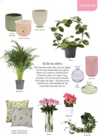 Plantagen annonsblad Sida 7