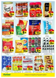 Amber catalogue Page 2