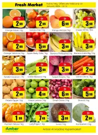 Amber catalogue Page 4