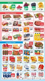 Folheto Panelão Página 2