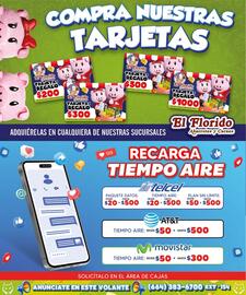 Folleto El Florido Página 19