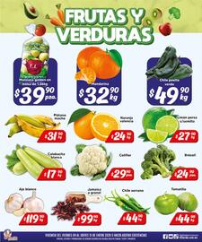 Folleto El Florido Página 6