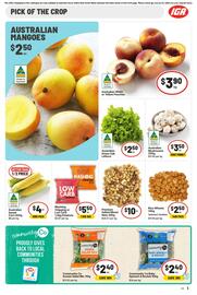 IGA catalogue week 3 Page 6