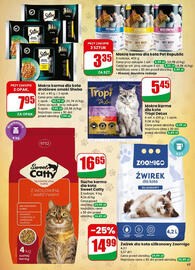 Dino gazetka tydzień 3 Strona 65