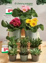 Dino gazetka tydzień 3 Strona 22