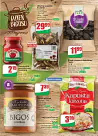 Dino gazetka tydzień 3 Strona 33