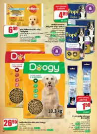 Dino gazetka tydzień 3 Strona 66