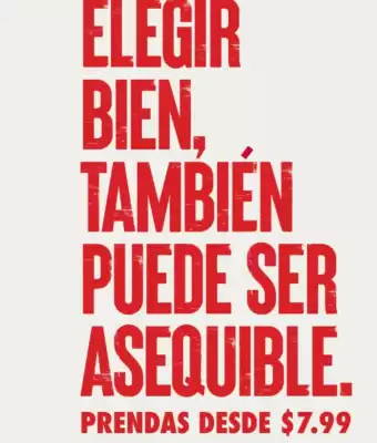 Catálogo Pinto (válido hasta 31-01)