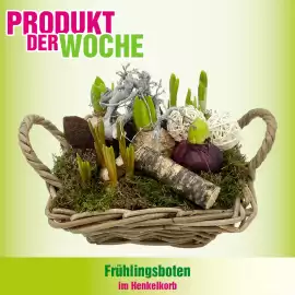 Blumen B&B Flugblatt Seite 1