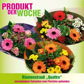 Blumen B&B Flugblatt Seite 2