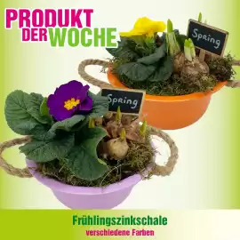 Blumen B&B Flugblatt Seite 3