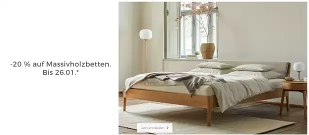 Grüne Erde Flugblatt Seite 3