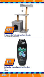 Action gazetka tydzień 3 Strona 7