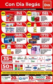 Folleto Supermercados DIA semana 3 Página 1