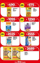 Folleto Supermercados DIA semana 3 Página 13