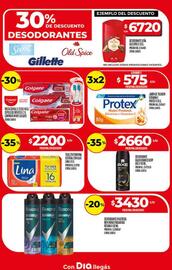 Folleto Supermercados DIA semana 3 Página 19