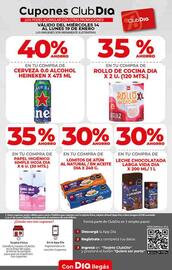 Folleto Supermercados DIA semana 3 Página 22