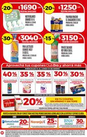 Folleto Supermercados DIA semana 3 Página 4