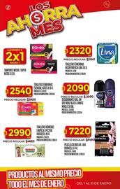 Folleto Supermercados DIA semana 3 Página 43