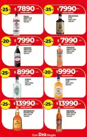 Folleto Supermercados DIA semana 3 Página 17