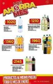 Folleto Supermercados DIA semana 3 Página 35