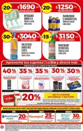 Folleto Supermercados DIA semana 3 Página 4