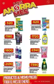 Folleto Supermercados DIA semana 3 Página 42