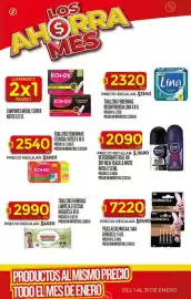 Folleto Supermercados DIA semana 3 Página 43