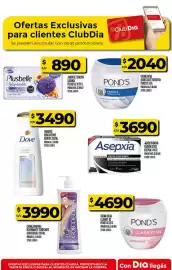 Folleto Supermercados DIA semana 3 Página 45